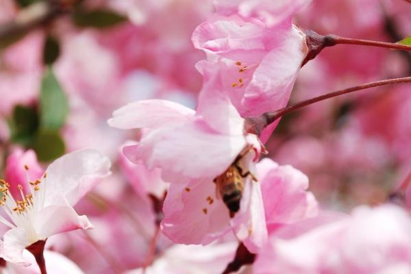 12生肖今日运势详细说明（2025.1.13）