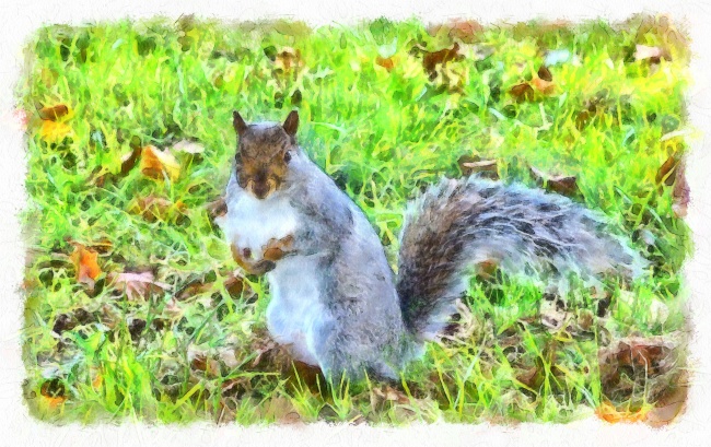 属鸡人2025年官运怎样