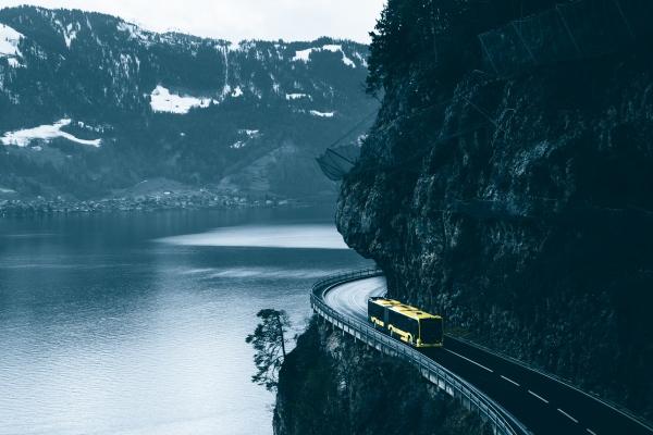 属虎人2025年每月运程