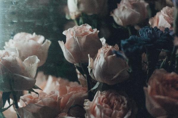 属猴人2025年4月运势