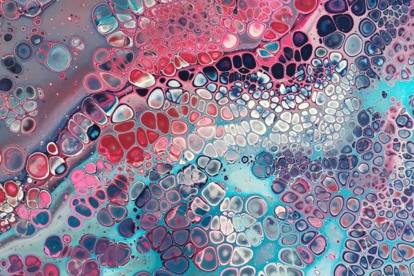 属虎人2025年3月运势