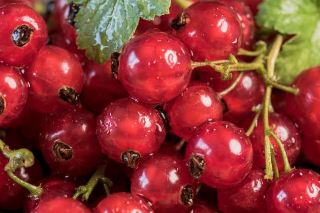 属马会和属蛇的结婚吗