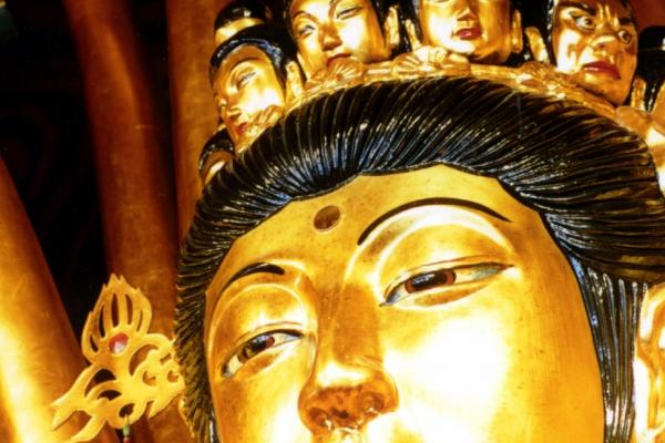 2025年3月8日十二生肖运势每日播报