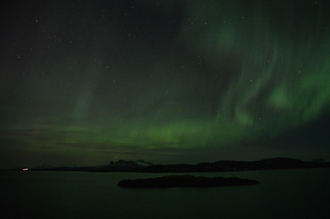 属猴人2025年5月运势