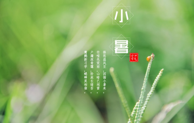 属龙人2025年事业运怎样