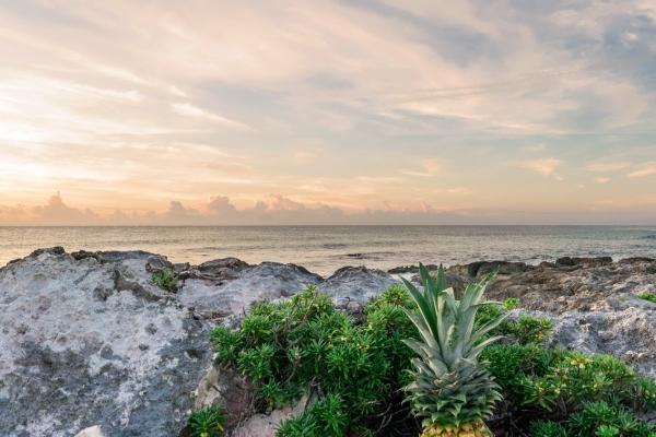 12生肖今日运势详细说明（2025.1.29）