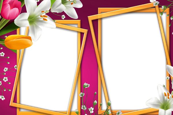 属猴人2025年10月运势