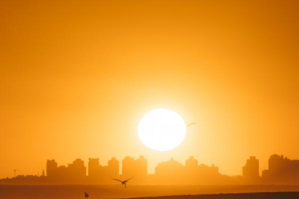 2025年运势最旺的属相