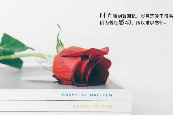 属蛇人2025年3月运势