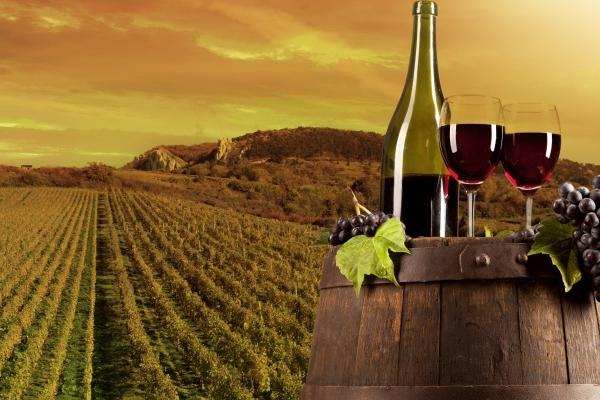 1979年属羊大忌颜色 1979年属羊大忌颜色