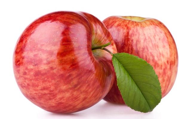 属马最怕住几楼