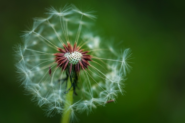 属鼠哪天出生最有出息