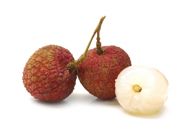 2025属相猪的运势全集