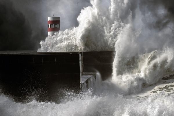 属鸡的四大桃花年