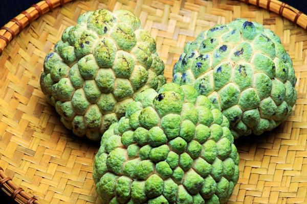 属鸡人下半年有一道坎