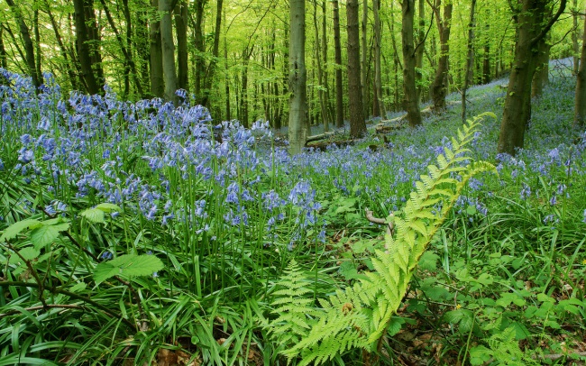 谁最宠爱属狗的女人