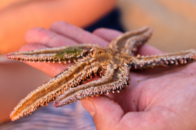 82年属狗哪年转大运