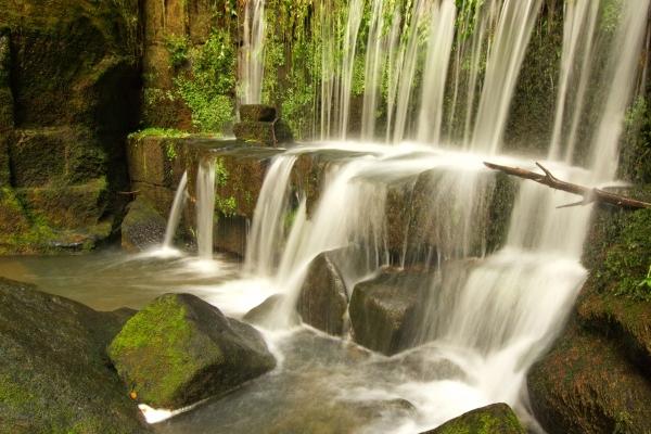 属虎的今年运气怎么样1974年 属虎的今年运气怎么样1974年