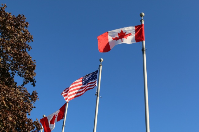 猪在2025的运气如何