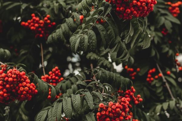 80年属猴的2025年运势和财运怎么样呢