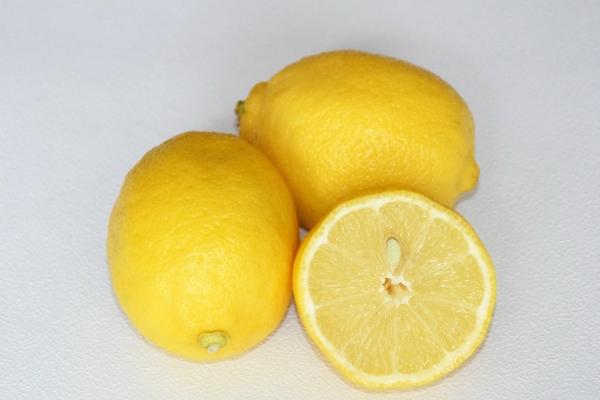 1988年属龙人2025全年运势详解