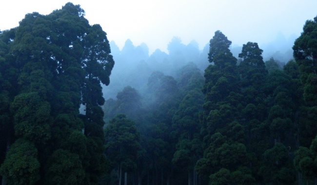 2008年的腊月属鼠的人好吗