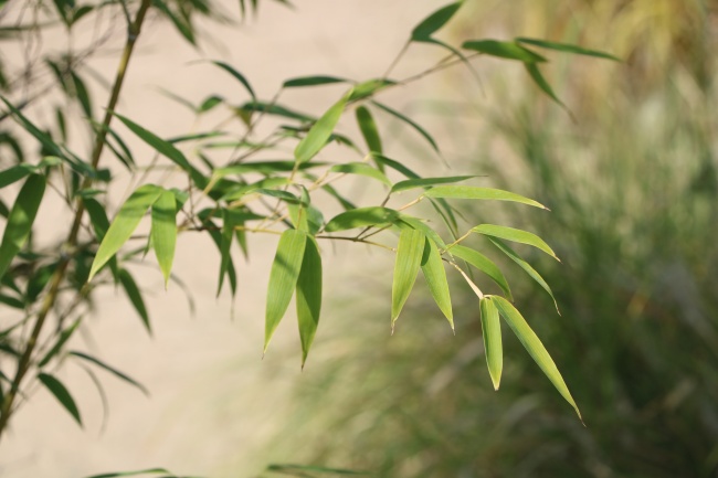 2025属虎的要躲着谁