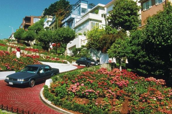 2025属狗人的全年运势1982，年全年爱情事业婚姻