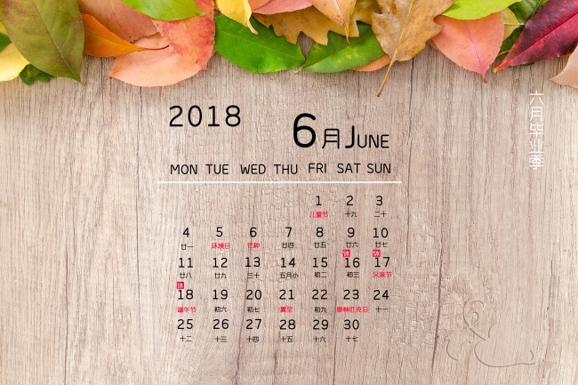 2007属猪佩戴什么好