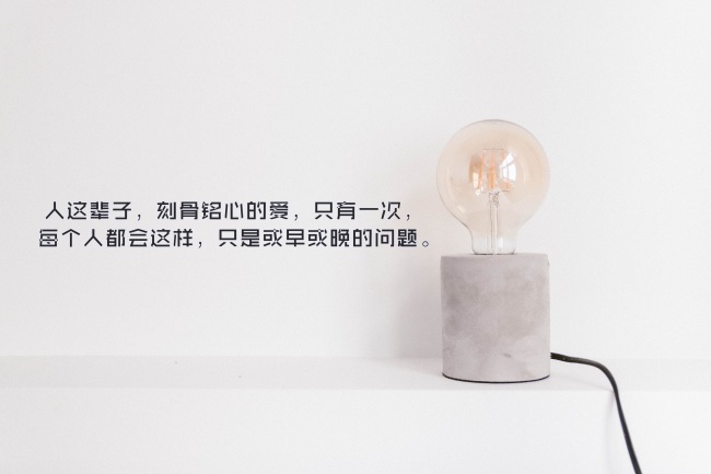 92年猴龙年运势如何