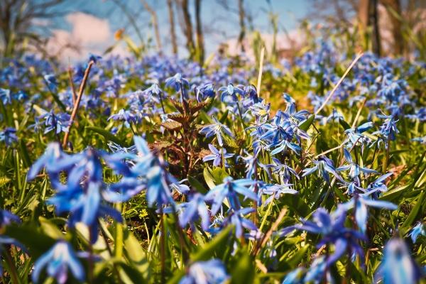 属羊的不能带的三样东西 属羊的不能带的三样东西