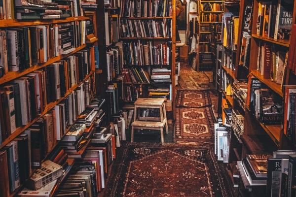 1979年出生的羊缺什么 1979年出生的羊缺什么