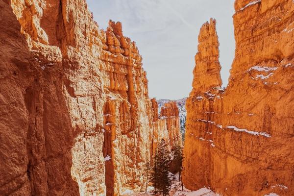 2025蛇宝宝备孕最佳时间表