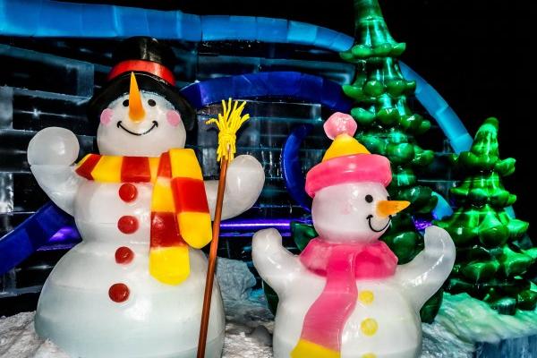 水鸡之命多灾多难吗，什么旺水鸡命