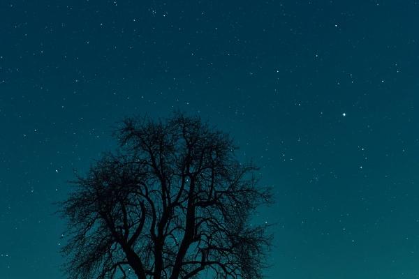 属猪人今生有两段孽缘