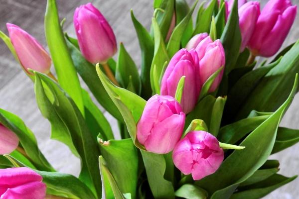 1956属猴人的灾难年龄