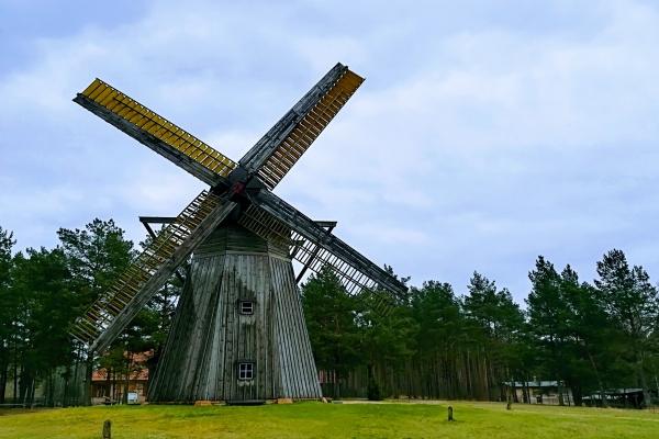 93年鸡几月鸡最有福气