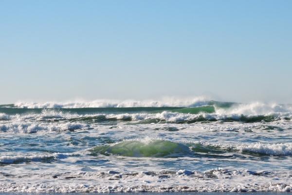 92年猴正缘什么时候来