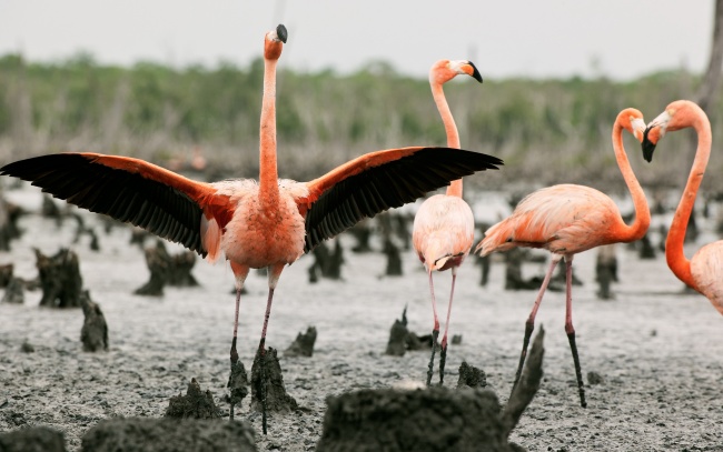 属马的过了35岁就顺了 属马的过了35岁就顺了