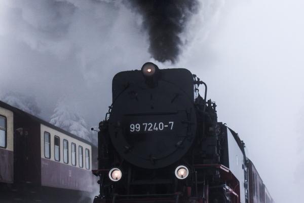 最旺属狗的摆件 最旺属狗的摆件