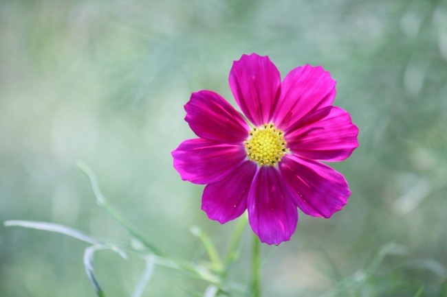 63年兔2024年每月运势及运程