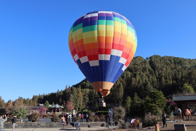 属羊的终身贵人是谁 属羊的终身贵人是谁