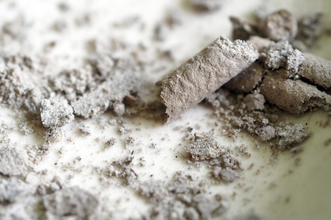 属猴癸卯日女丁未年运势