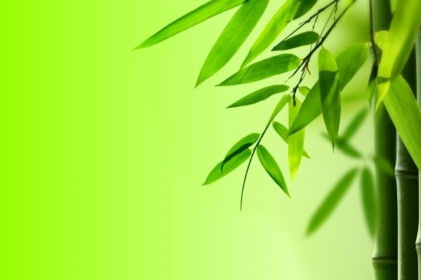 68年的男猴2025横财运