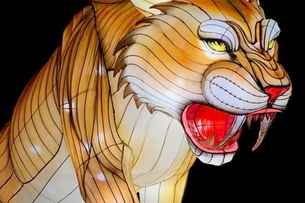 80猴45岁后几年大运