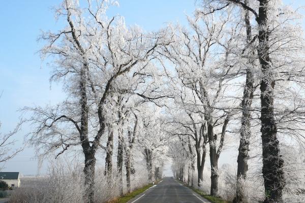 68属猴过了56是分水岭 68属猴过了56是分水岭