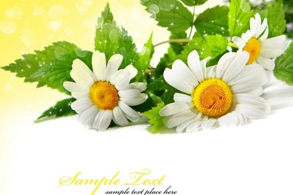 2025年4月黄道吉日满月酒