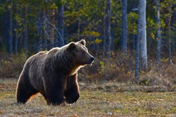 2025年4月开光的好日子