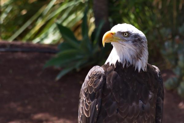 相亲吉日2025年4月 相亲吉日2025年4月