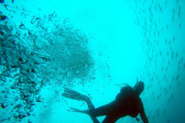 满月酒吉日2025年4月 满月酒吉日2025年4月